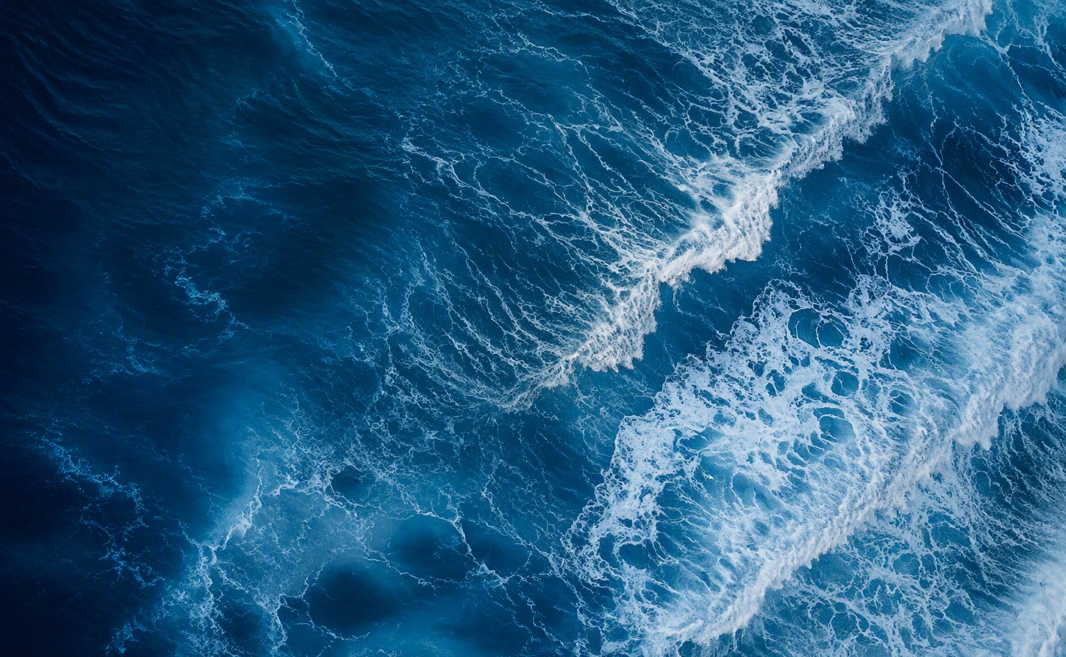 海浪 —— 每个大脑的运转方式都不同